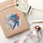 Superman Comic Panels Classic Round Sticker