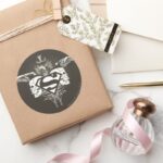 Superman Stylized Dark Skulls Logo Classic Round Sticker