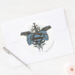 Superman Stylized Skulls Blue Logo Classic Round Sticker