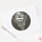 Superman Stylized Star And Skull Logo Classic Round Sticker