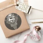 Superman Stylized Star And Skull Logo Classic Round Sticker