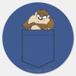 TAZ™ In A Pocket Classic Round Sticker
