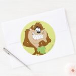 TAZ™ Holding A Leaf Classic Round Sticker