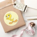 TWEETY™ Hmm Classic Round Sticker