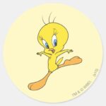 TWEETY™ Landing Classic Round Sticker