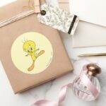 TWEETY™ Landing Classic Round Sticker