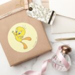 TWEETY™ See Me Fly Classic Round Sticker