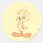 TWEETY™ Standing Up Straight Classic Round Sticker