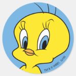TWEETY™ Clever Bird Classic Round Sticker