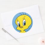 TWEETY™ Clever Bird Classic Round Sticker