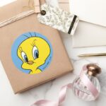 TWEETY™ Clever Bird Classic Round Sticker