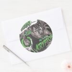 The Man From Krypton Classic Round Sticker