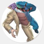 Two Face Falls Classic Round Sticker