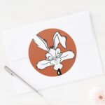WILE E. COYOTE™ Happy Head Shot Classic Round Sticker