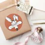 WILE E. COYOTE™ Happy Head Shot Classic Round Sticker