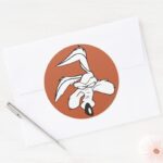 WILE E. COYOTE™ Head Shot Classic Round Sticker