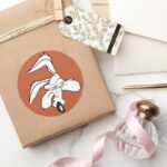 WILE E. COYOTE™ Head Shot Classic Round Sticker