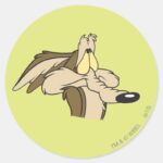 WILE E. COYOTE™ Impending Doom Classic Round Sticker