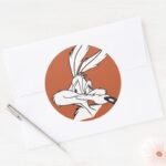 WILE E. COYOTE™ Looking Sneaky Classic Round Sticker