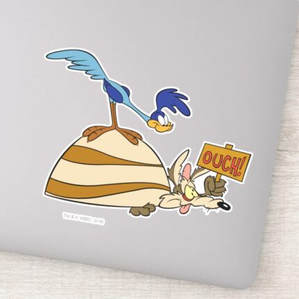 WILE E. COYOTE™ And ROAD RUNNER™ Boulder Sticker
