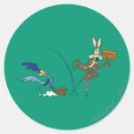 WILE E. COYOTE™ And ROAD RUNNER™ Pogo Stick Classic Round Sticker