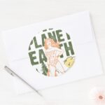 Wonder Woman Save Planet Earth Classic Round Sticker
