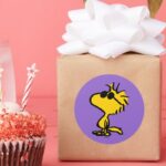 Woodstock In Sunglasses Classic Round Sticker