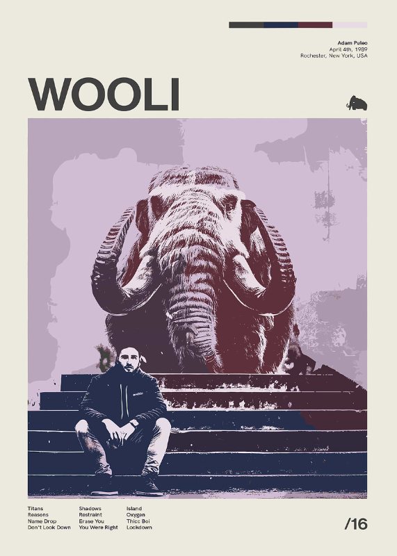 Wooli Music Poster