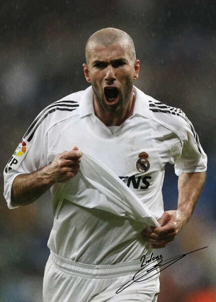 Zinedine Zidane Soccer Poster