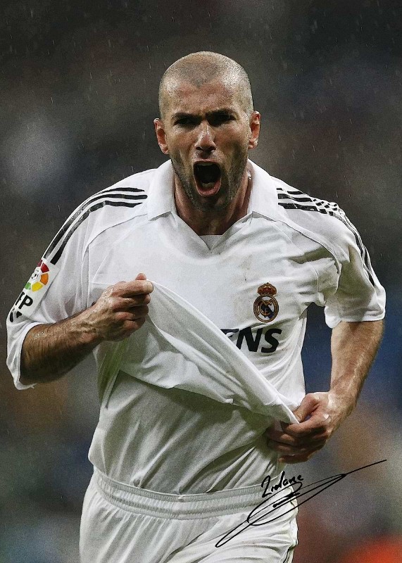 Zinedine Zidane Soccer Poster