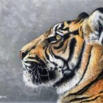 Abstract Tiger Painting Poster