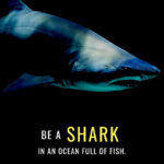 Be a Shark in Ocean full of fish animal motivational Poster