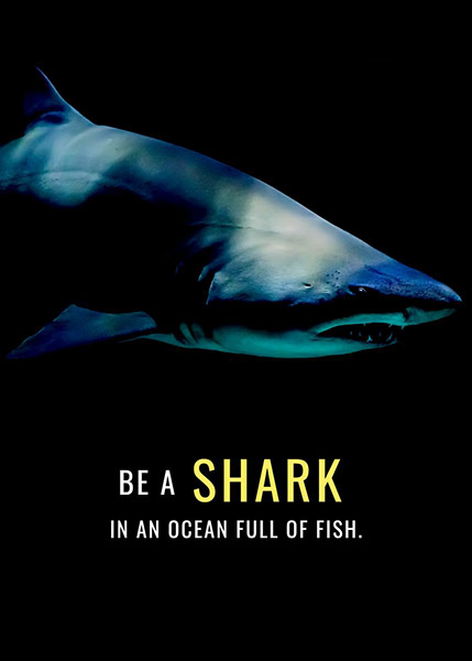 Be a Shark in Ocean full of fish animal motivational Poster