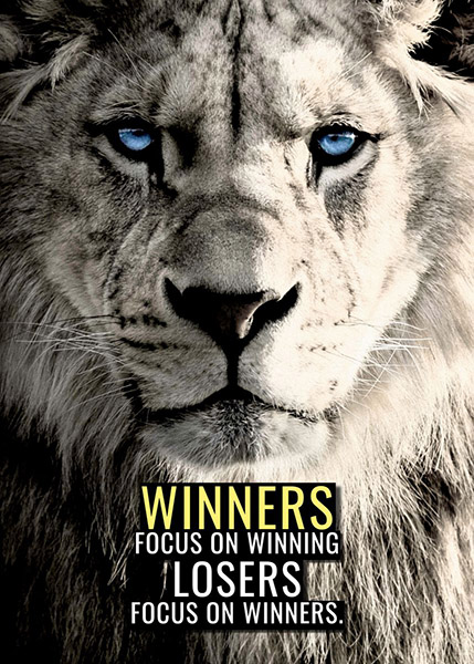Be a Winner not a loser animal motivational Poster