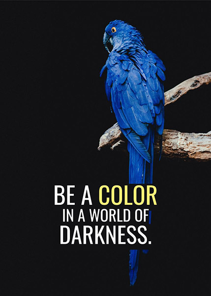 Be Colorful animal motivational Poster
