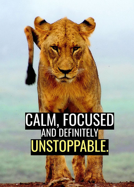 Calm Focused Unstoppable animal motivational Poster