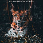 Chase your dreams animal motivational Poster