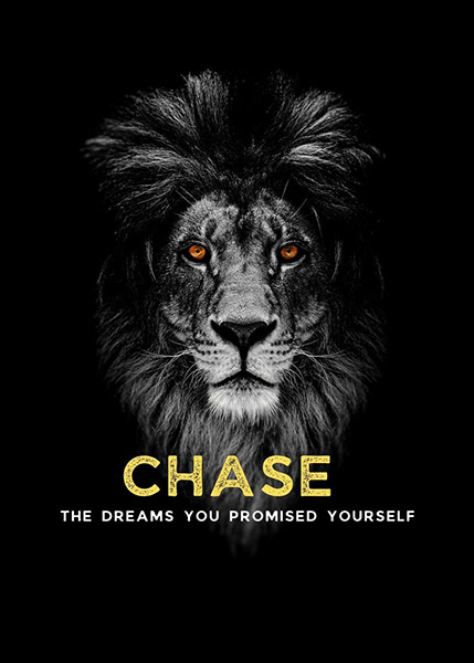 Chase your dreams animal motivational Poster