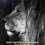 Chase your dreams animal motivational Poster