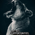 Create Opportunities animal motivational Poster