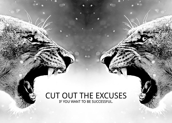 Cut out the Excuses animal motivational Poster