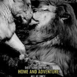 Date Home and Adventure animal motivational Poster