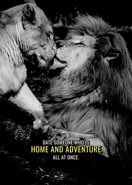 Date Home and Adventure animal motivational Poster