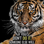 Do it before others do animal motivational Poster