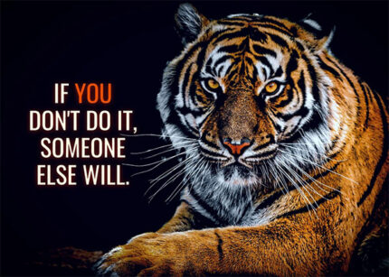 Do it or Someone else will animal motivational Poster