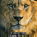 Don't Quit Don't Rest animal motivational Poster