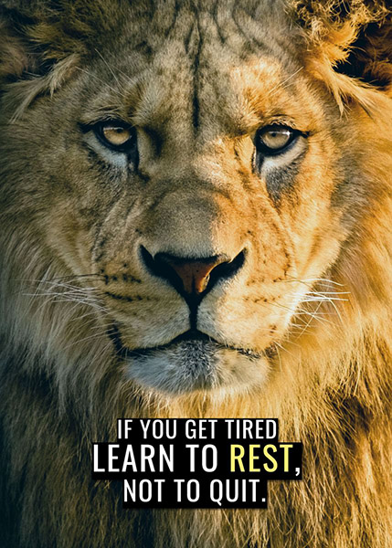 Don't Quit Don't Rest animal motivational Poster