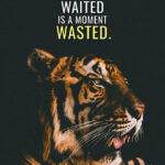 Don't waste the moment and Time animal motivational Poster