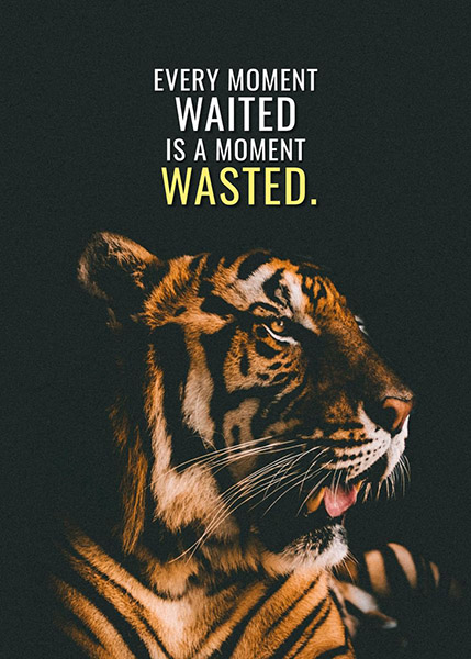 Don't waste the moment and Time animal motivational Poster