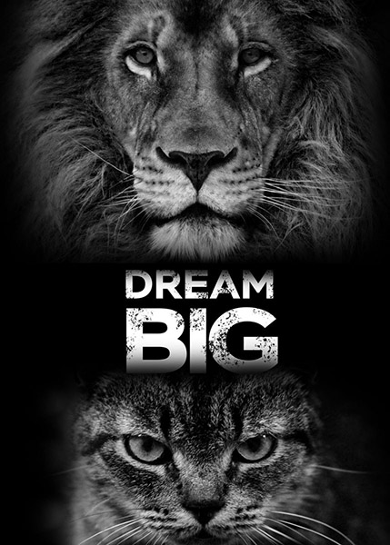 Dream Big animal motivational Poster